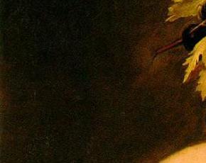 Sandro Botticelli, Wiosna i narodziny Wenus