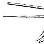 Сільськогосподарські знаряддя раннього середньовіччя Дерев'яна соха
